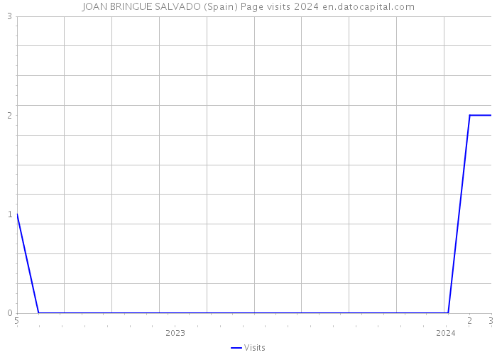 JOAN BRINGUE SALVADO (Spain) Page visits 2024 