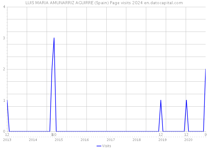 LUIS MARIA AMUNARRIZ AGUIRRE (Spain) Page visits 2024 