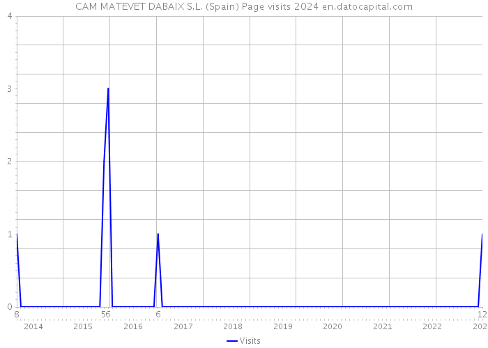 CAM MATEVET DABAIX S.L. (Spain) Page visits 2024 