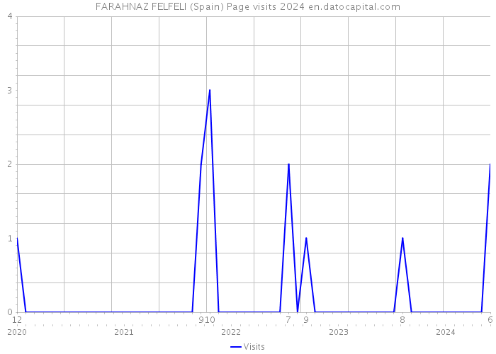 FARAHNAZ FELFELI (Spain) Page visits 2024 