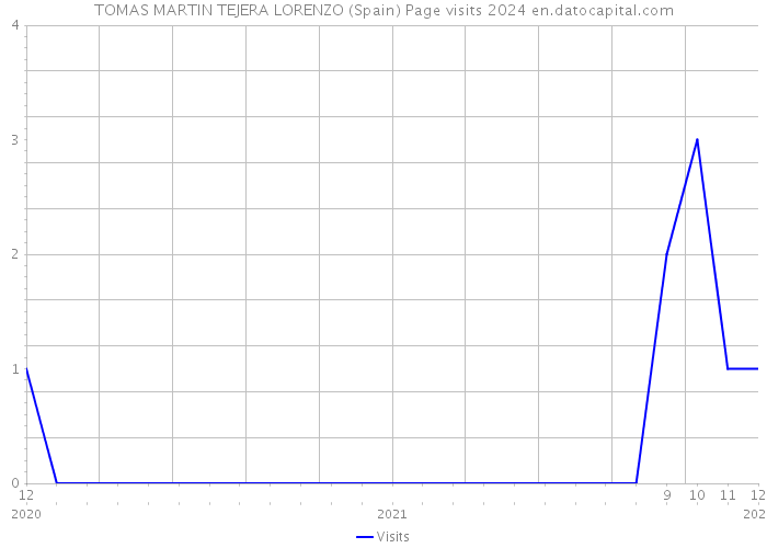 TOMAS MARTIN TEJERA LORENZO (Spain) Page visits 2024 