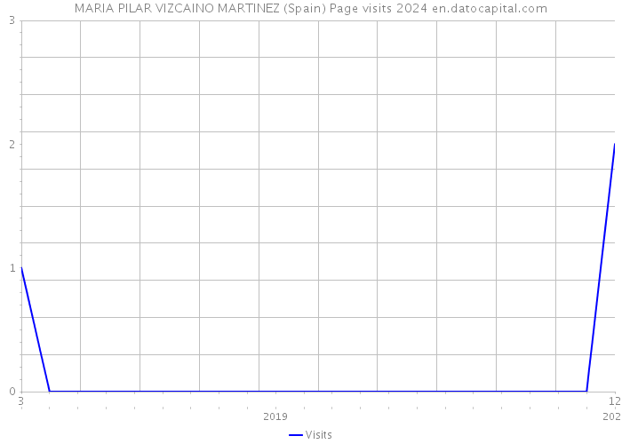 MARIA PILAR VIZCAINO MARTINEZ (Spain) Page visits 2024 