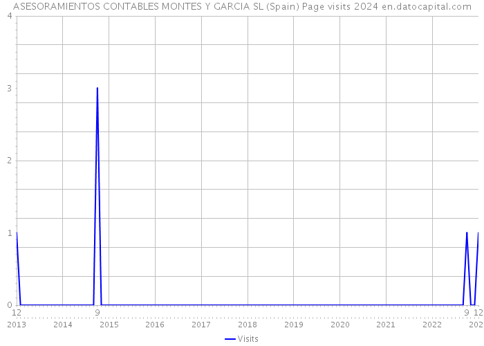 ASESORAMIENTOS CONTABLES MONTES Y GARCIA SL (Spain) Page visits 2024 