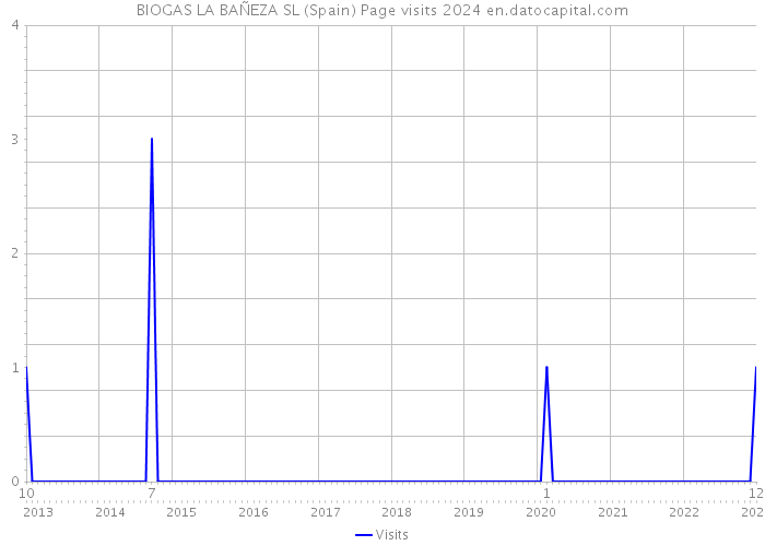 BIOGAS LA BAÑEZA SL (Spain) Page visits 2024 