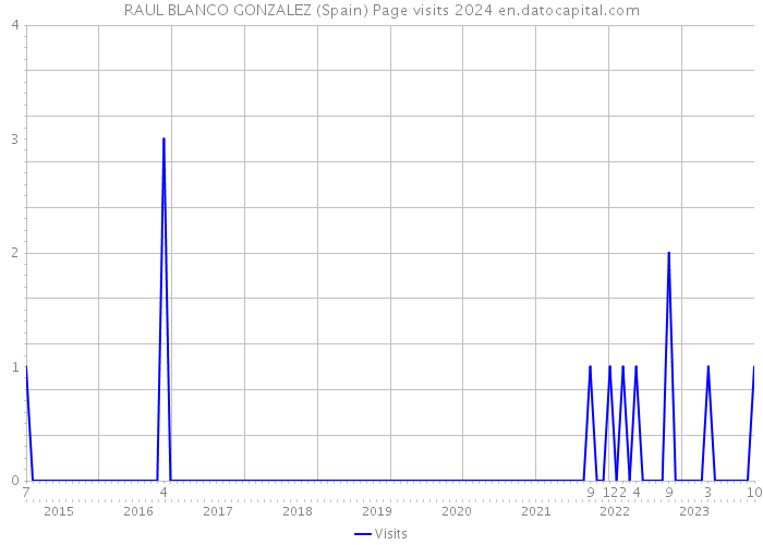 RAUL BLANCO GONZALEZ (Spain) Page visits 2024 