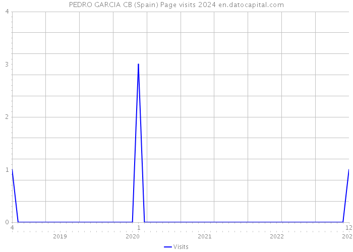 PEDRO GARCIA CB (Spain) Page visits 2024 