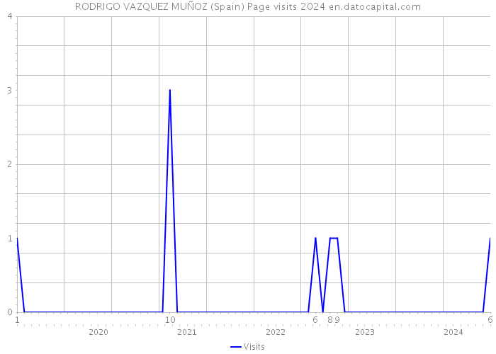 RODRIGO VAZQUEZ MUÑOZ (Spain) Page visits 2024 