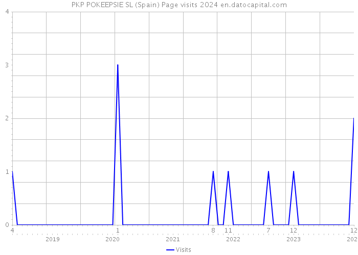 PKP POKEEPSIE SL (Spain) Page visits 2024 