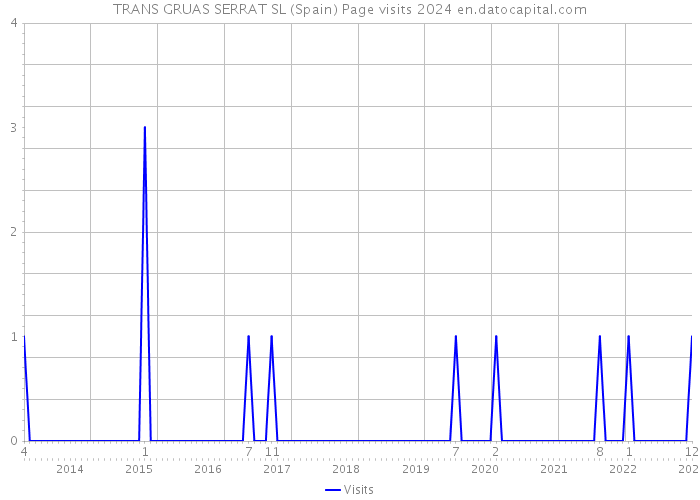 TRANS GRUAS SERRAT SL (Spain) Page visits 2024 
