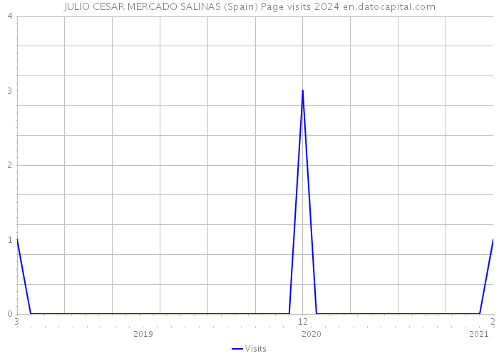 JULIO CESAR MERCADO SALINAS (Spain) Page visits 2024 