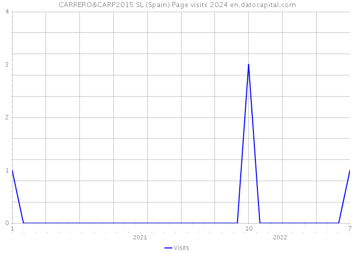 CARRERO&CARP2015 SL (Spain) Page visits 2024 