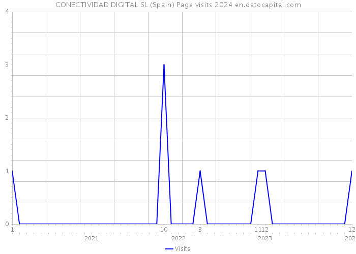 CONECTIVIDAD DIGITAL SL (Spain) Page visits 2024 