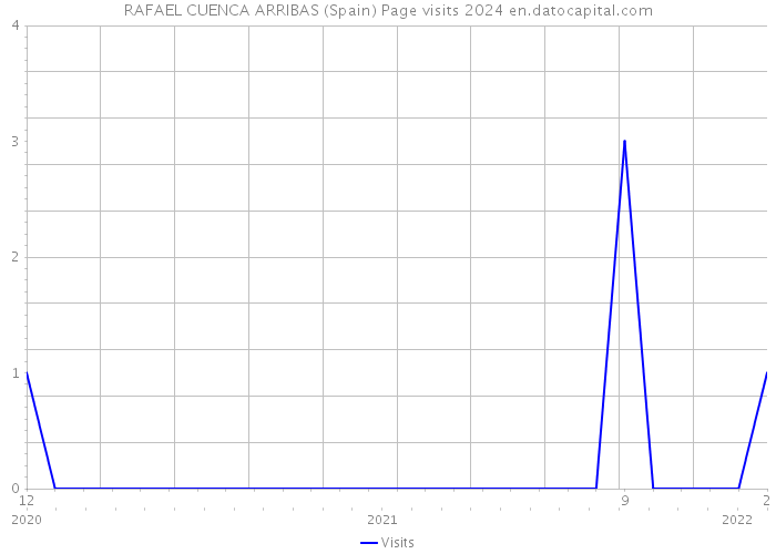 RAFAEL CUENCA ARRIBAS (Spain) Page visits 2024 