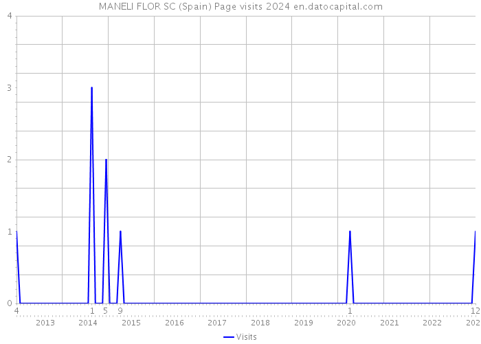 MANELI FLOR SC (Spain) Page visits 2024 