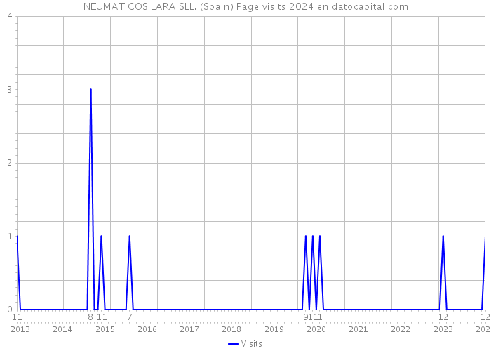 NEUMATICOS LARA SLL. (Spain) Page visits 2024 