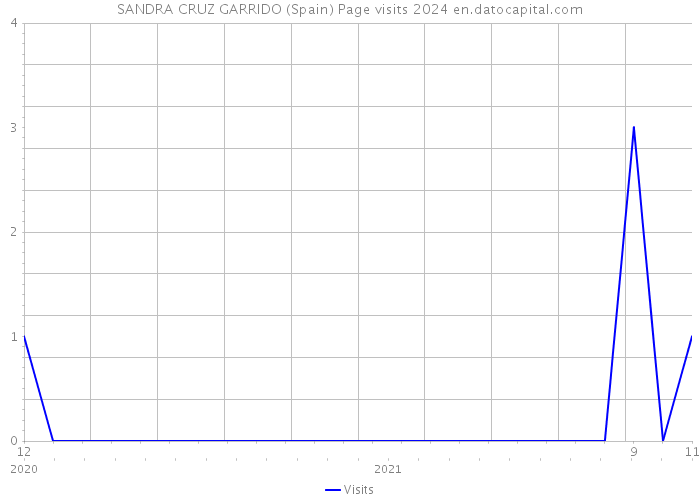 SANDRA CRUZ GARRIDO (Spain) Page visits 2024 