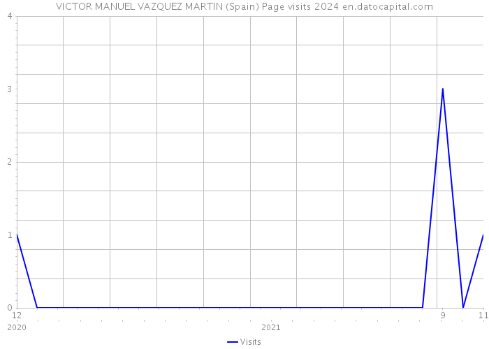 VICTOR MANUEL VAZQUEZ MARTIN (Spain) Page visits 2024 