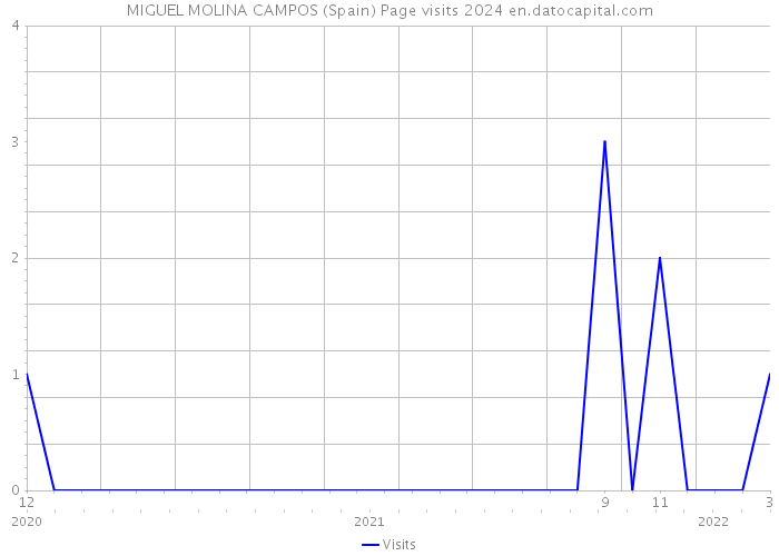 MIGUEL MOLINA CAMPOS (Spain) Page visits 2024 