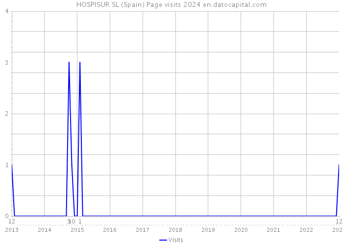 HOSPISUR SL (Spain) Page visits 2024 