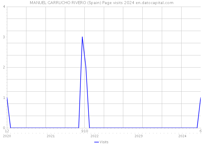 MANUEL GARRUCHO RIVERO (Spain) Page visits 2024 