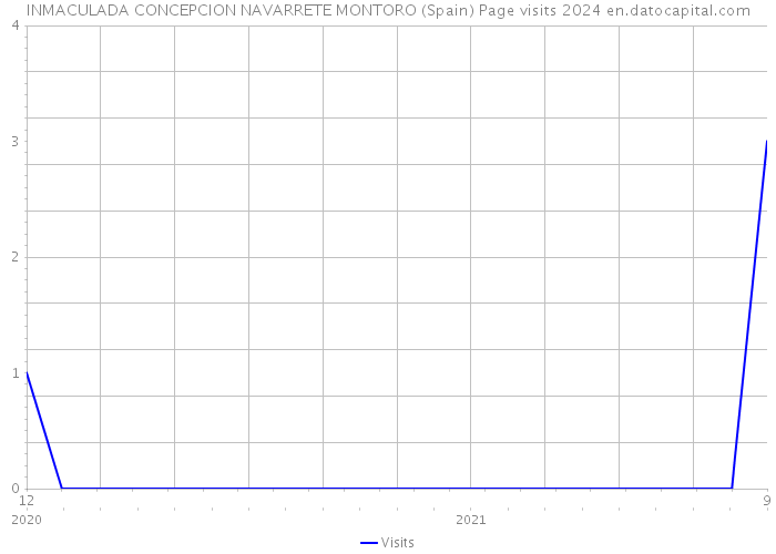 INMACULADA CONCEPCION NAVARRETE MONTORO (Spain) Page visits 2024 