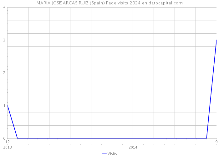 MARIA JOSE ARCAS RUIZ (Spain) Page visits 2024 