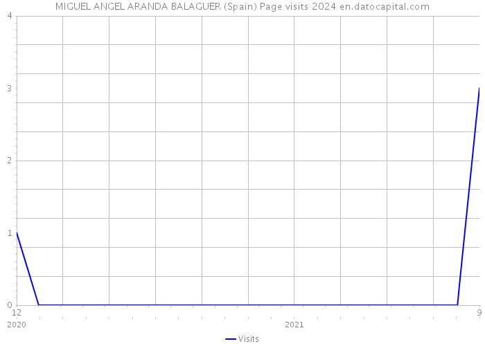 MIGUEL ANGEL ARANDA BALAGUER (Spain) Page visits 2024 
