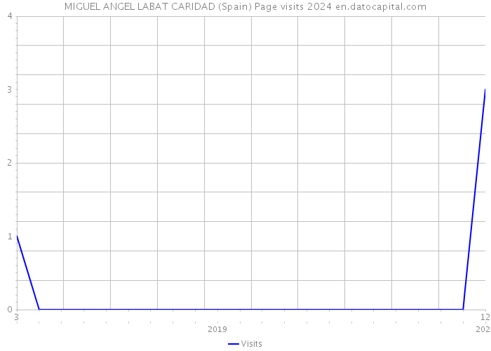 MIGUEL ANGEL LABAT CARIDAD (Spain) Page visits 2024 