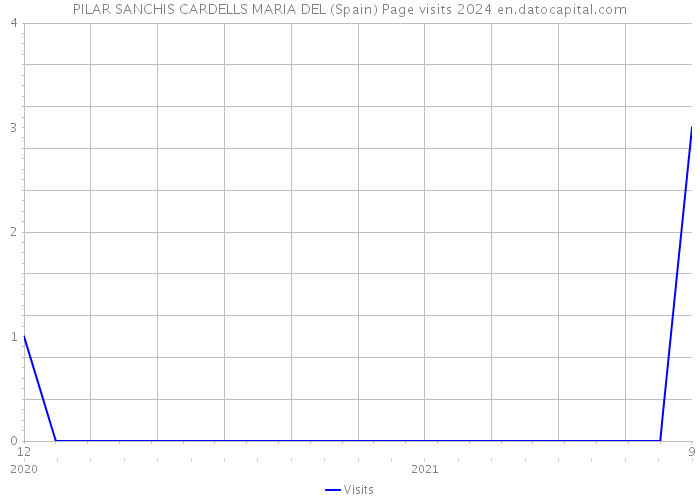 PILAR SANCHIS CARDELLS MARIA DEL (Spain) Page visits 2024 