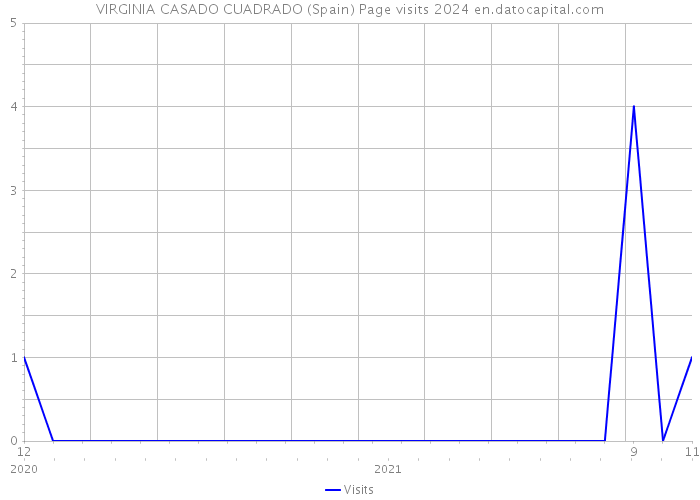 VIRGINIA CASADO CUADRADO (Spain) Page visits 2024 