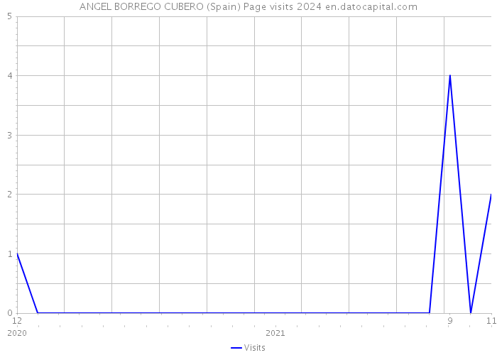 ANGEL BORREGO CUBERO (Spain) Page visits 2024 