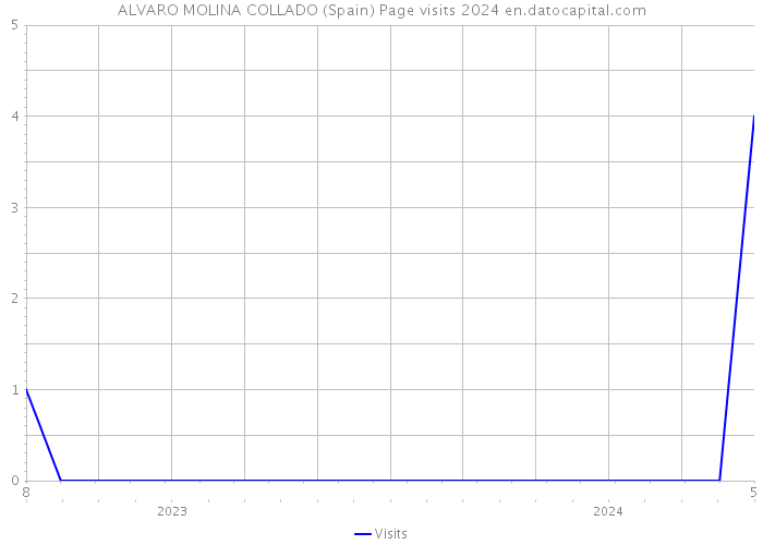 ALVARO MOLINA COLLADO (Spain) Page visits 2024 