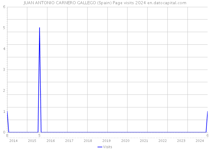 JUAN ANTONIO CARNERO GALLEGO (Spain) Page visits 2024 
