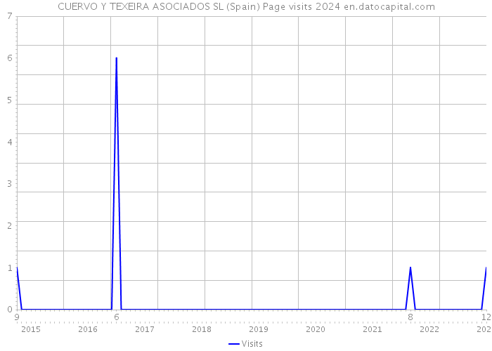 CUERVO Y TEXEIRA ASOCIADOS SL (Spain) Page visits 2024 