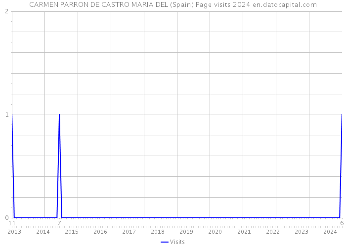 CARMEN PARRON DE CASTRO MARIA DEL (Spain) Page visits 2024 