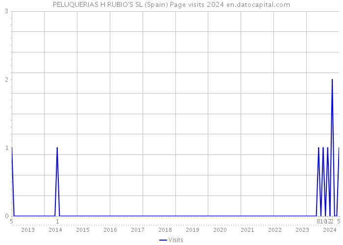 PELUQUERIAS H RUBIO'S SL (Spain) Page visits 2024 