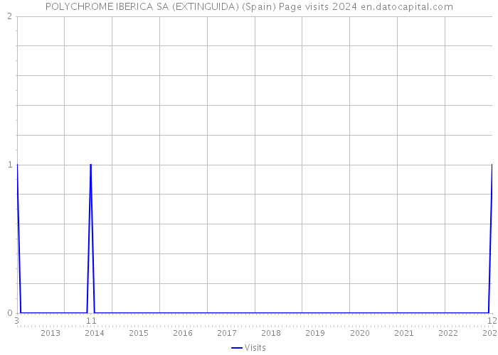 POLYCHROME IBERICA SA (EXTINGUIDA) (Spain) Page visits 2024 