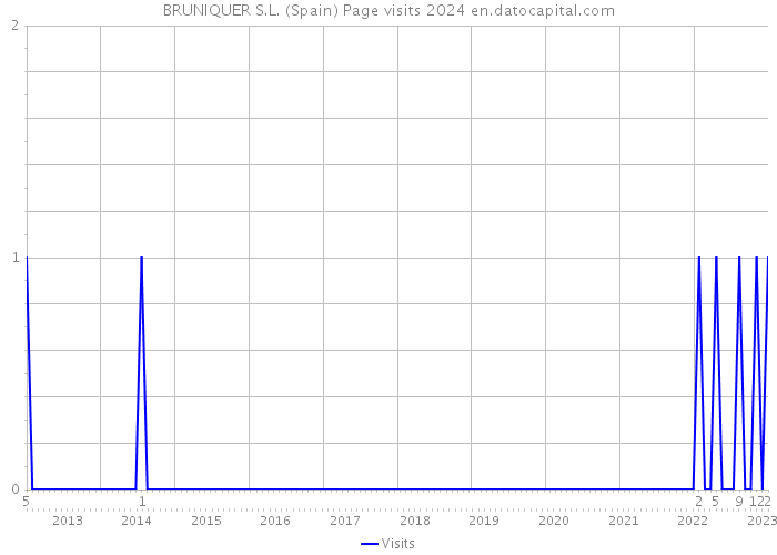 BRUNIQUER S.L. (Spain) Page visits 2024 