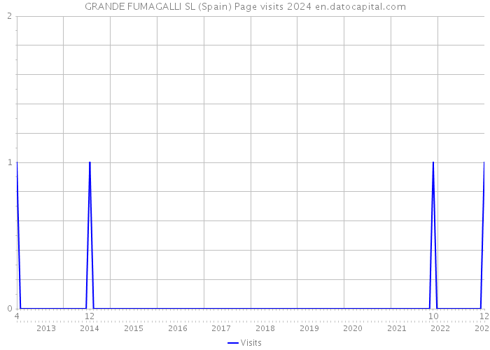 GRANDE FUMAGALLI SL (Spain) Page visits 2024 