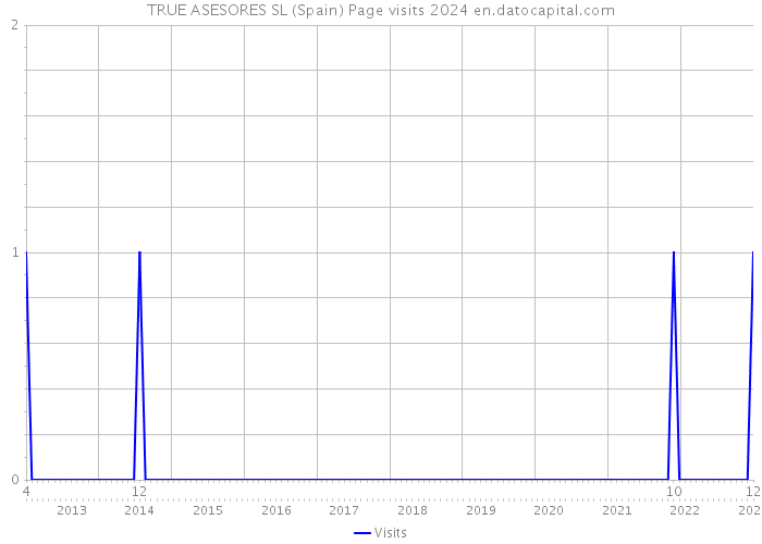 TRUE ASESORES SL (Spain) Page visits 2024 