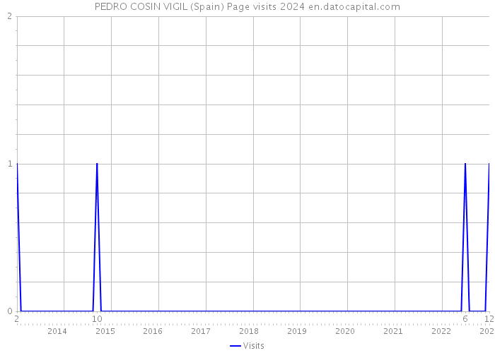 PEDRO COSIN VIGIL (Spain) Page visits 2024 