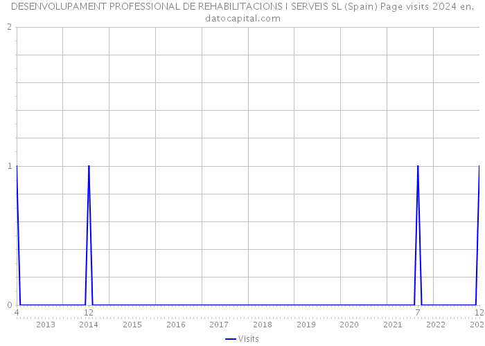 DESENVOLUPAMENT PROFESSIONAL DE REHABILITACIONS I SERVEIS SL (Spain) Page visits 2024 