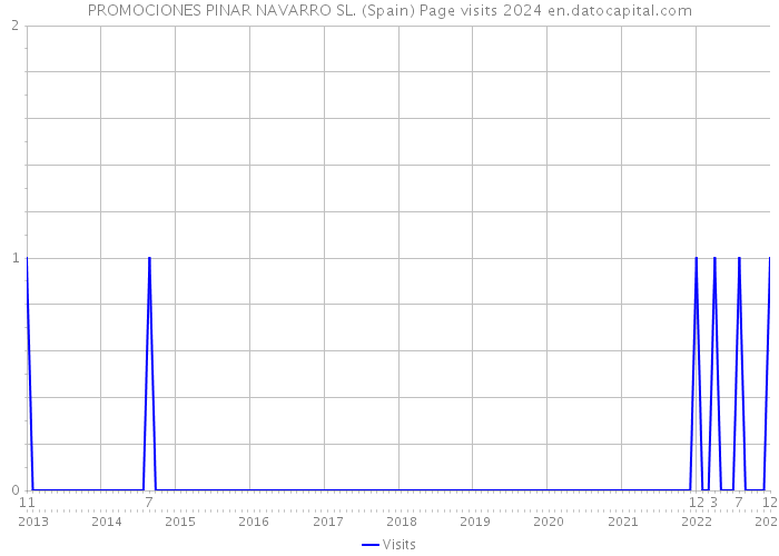 PROMOCIONES PINAR NAVARRO SL. (Spain) Page visits 2024 