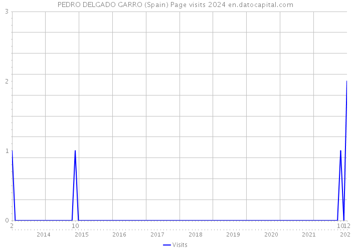 PEDRO DELGADO GARRO (Spain) Page visits 2024 