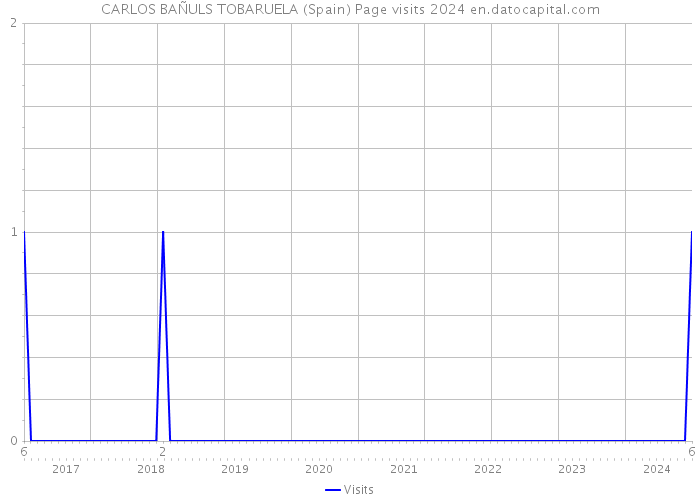 CARLOS BAÑULS TOBARUELA (Spain) Page visits 2024 