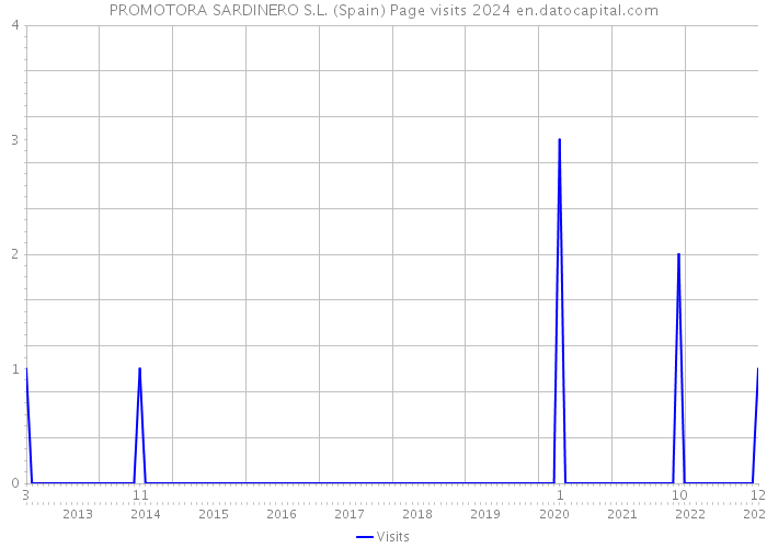PROMOTORA SARDINERO S.L. (Spain) Page visits 2024 