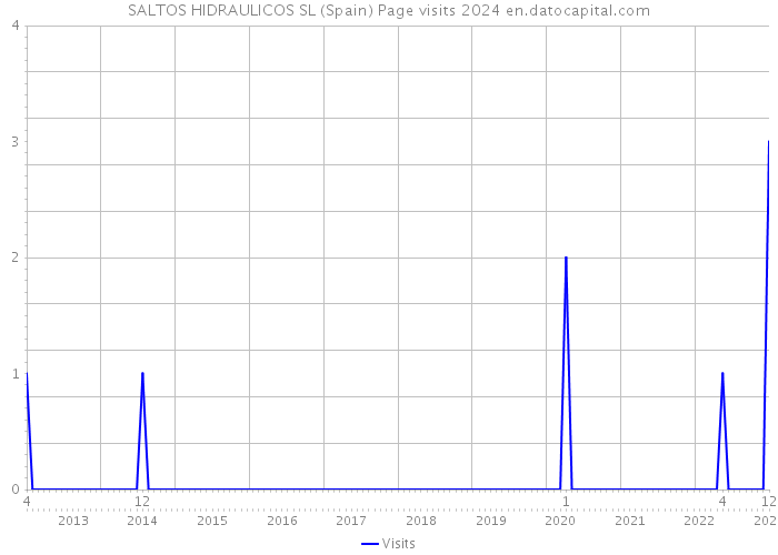 SALTOS HIDRAULICOS SL (Spain) Page visits 2024 