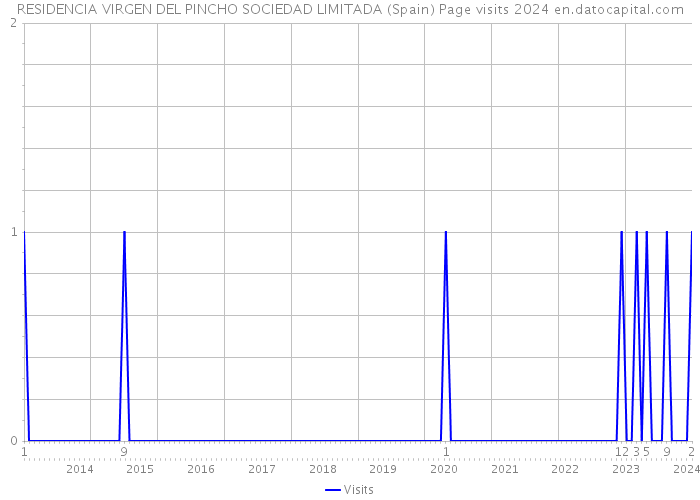 RESIDENCIA VIRGEN DEL PINCHO SOCIEDAD LIMITADA (Spain) Page visits 2024 