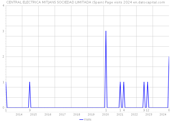 CENTRAL ELECTRICA MITJANS SOCIEDAD LIMITADA (Spain) Page visits 2024 