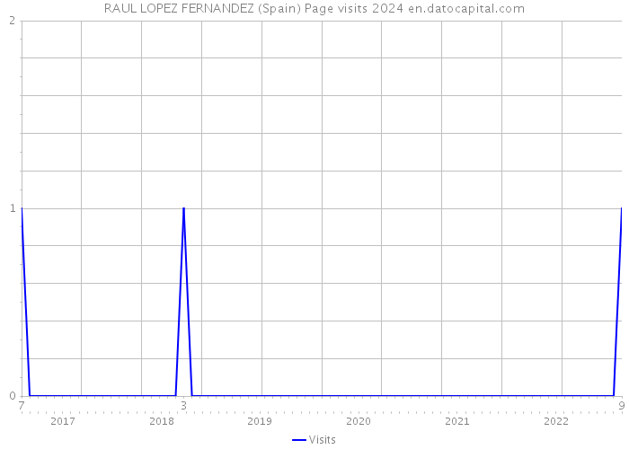 RAUL LOPEZ FERNANDEZ (Spain) Page visits 2024 